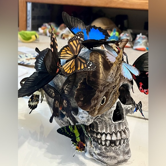 Skull sculpture with real butterflies, in 10”x8”x10” shadow box - Picture 5 of 11